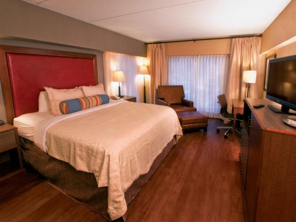 Hotel Ithaca image 19